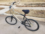 Trek Adult Men's Lightweight Aluminum 24-speed 26-inch Wheels Bike