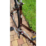 GIANT Innova Cross Women's 19" Hybrid Bicycle, Black Cherry