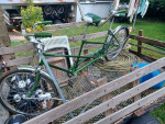 Vintage schwinn