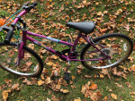 Girls Bike 25