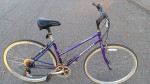 17.5" Female Jamis Citizen Hybrid Bike