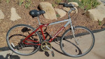 Medium(19") Raleigh C-30 Hybrid