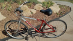 Medium(19") Raleigh C-30 Hybrid