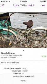Beach Cruiser