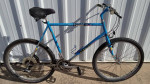 22" 1988 Schwinn Sierra Mountain Bike