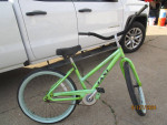Jamis Cruiser