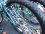 I HAVE 8 24 inch wheel bikes for ages 7 yr to 12 yr; any one bike is>>