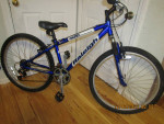 RALEIGH M20; 5'1" to 5'3"; mtb; like new