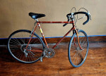 CITOH 10-Speed Road Bike