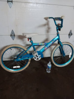 20 inch quest blossom