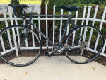 1985 Fuji Del Rey