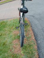 Trek Alpha 4300