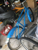 Fuji Beach Bike
