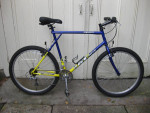 Bike bicycle GT Tequesta 26" mountain bike