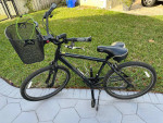 Jamie Boss Cruiser