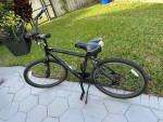 Jamie Boss Cruiser