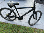 Jamie Boss Cruiser