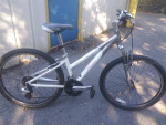 Trek bike 3700  beach cruiser .mountain bike