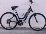 Trek Navigator 2.0 Hybrid/comforter bike -Ready to ride