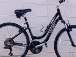 Trek Navigator 2.0 Hybrid/comforter bike -Ready to ride