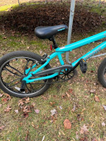 Mongoose Craze 20”