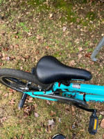 Mongoose Craze 20”