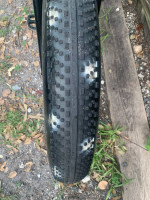 Men’s Mongoose Fat Tire Cruiser