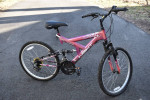 Girl's 20" bike and Scooters