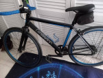 Fixed gear bikr