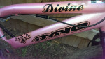 20 INCH DYNO DIVINE BMX BIKE/2008 MODEL