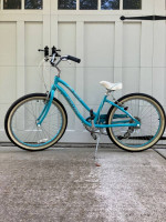 Giant Gloss Bike