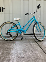 Giant Gloss Bike