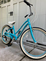 Giant Gloss Bike