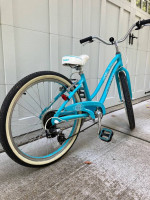 Giant Gloss Bike