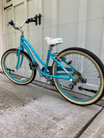 Giant Gloss Bike