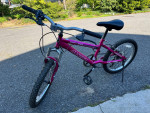 Girls 20 in bike 6 speed hardtail