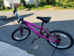 Girls 20 in bike 6 speed hardtail
