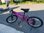 Girls 20 in bike 6 speed hardtail