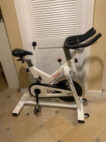 Sunny Stationary Bike