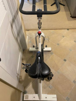 Sunny Stationary Bike