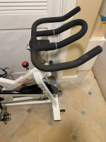 Sunny Stationary Bike