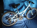 Trek MOUNTAIN TRACK 220