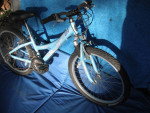 Trek MOUNTAIN TRACK 220