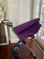 Compact Xterra Station Bike