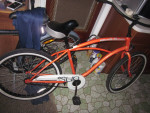 Sun Revolutions Cruiser