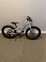 Trek Roscoe