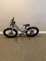 Trek Roscoe