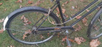 Phillips by Raleigh Cruiser bicycle
