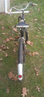 Phillips by Raleigh Cruiser bicycle