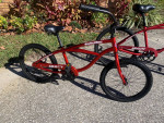Pair of Aluminum Framed Beach Cruisers - Gravity "Salty Dog"